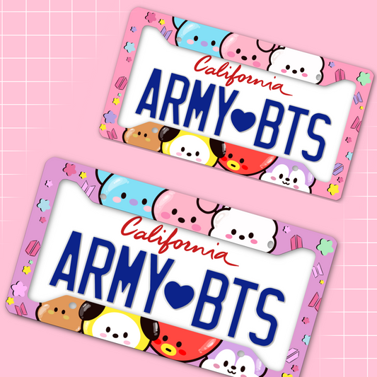 Car License Plate Frame