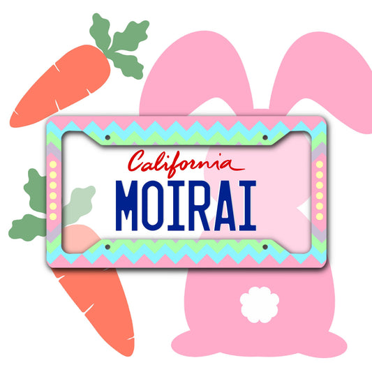 Easter License Plate Frame! Cute License Plate Frame/ License Plate Frame/ License Plate Frame