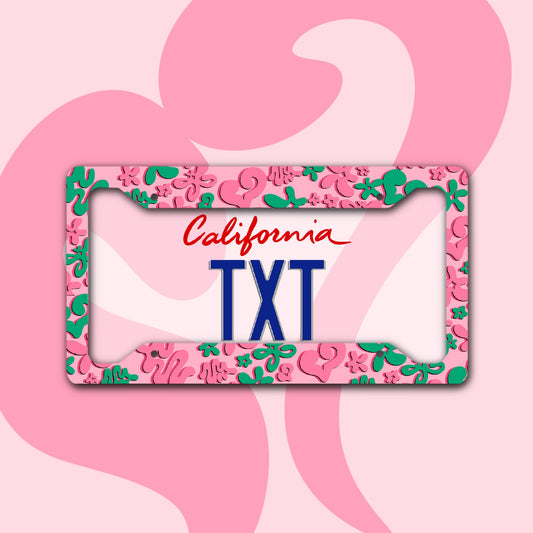 KPOP License Plate Frame! Cute License Plate Frame/License Plate Frame/ License Plate Frame